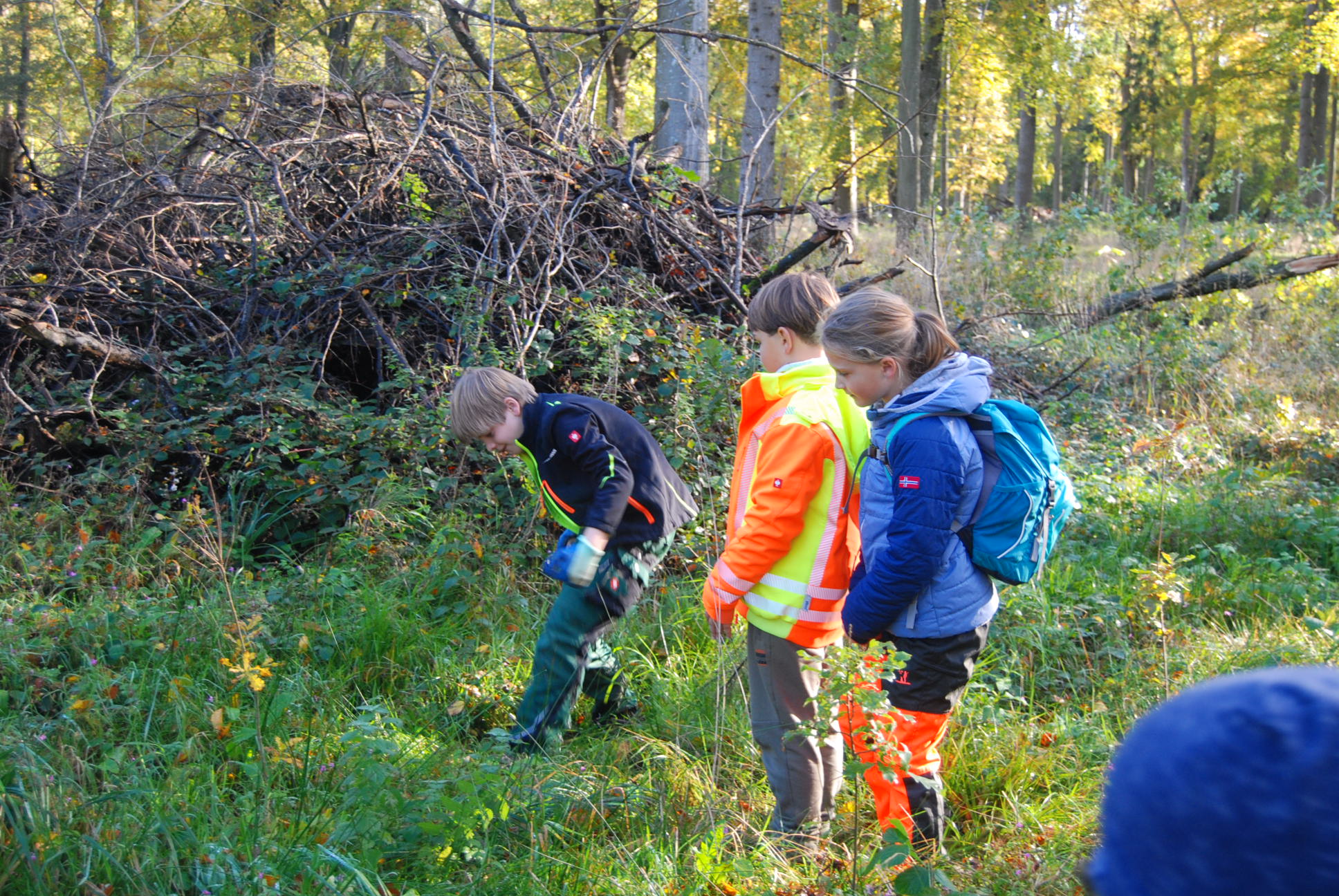 Ausflug Der 3 Klasse In Den Wald Grundschule Karby ausflug-der-3-klasse-in-den-wald-grundschule-karby