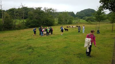 Tierpark Arche Warder