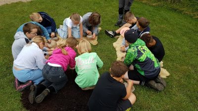 Tierpark Arche Warder