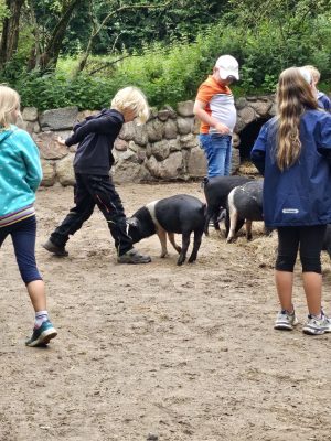 Tierpark Arche Warder