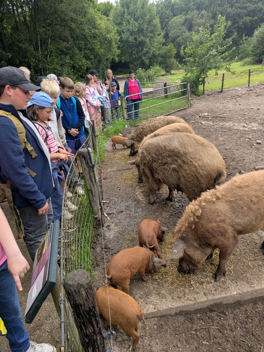 Tierpark Arche Warder Tierpark Arche Warder