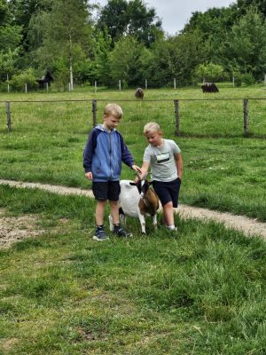 Tierpark Arche Warder