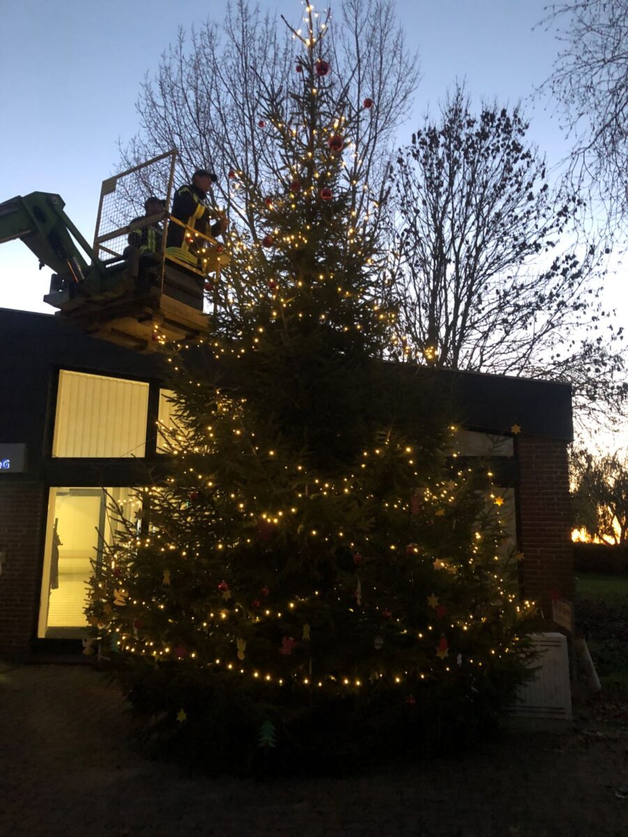 Tannenbaum aufstellen